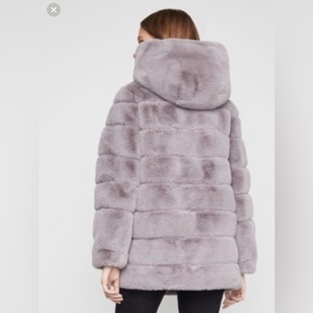 💕HP💕 frock hooded coat - Picture 2 of 2
